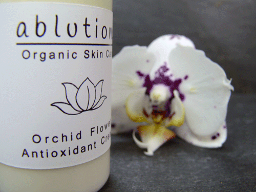 orchid flower cream